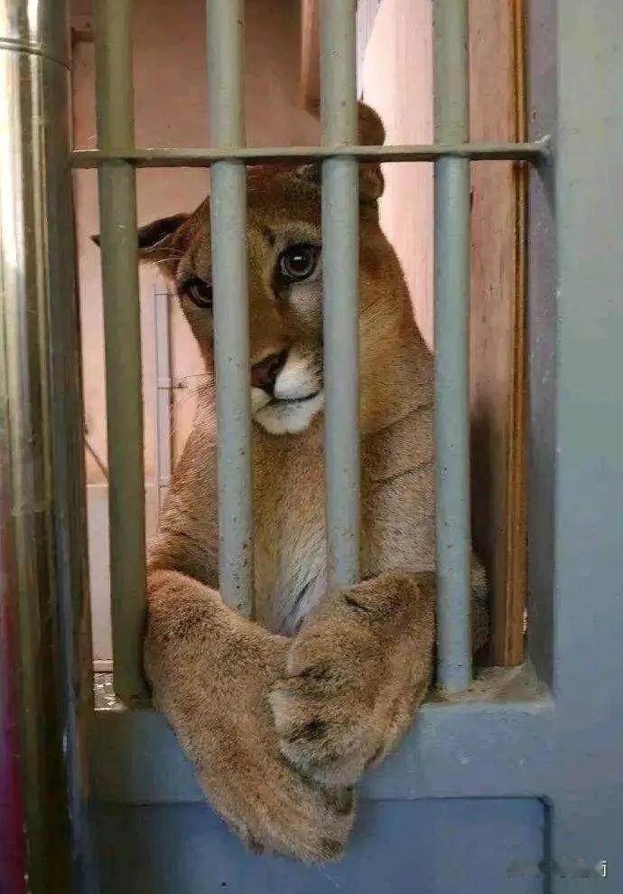 不可抗拒的女人味