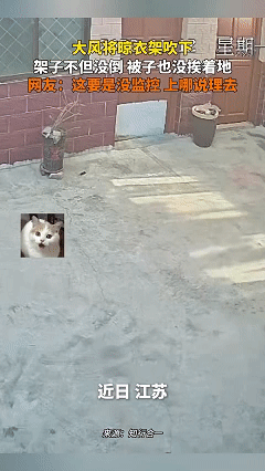 万万没想到！近日江苏，女子回家时时发现，本该在屋顶的晾衣架突然来到了院子里，便问