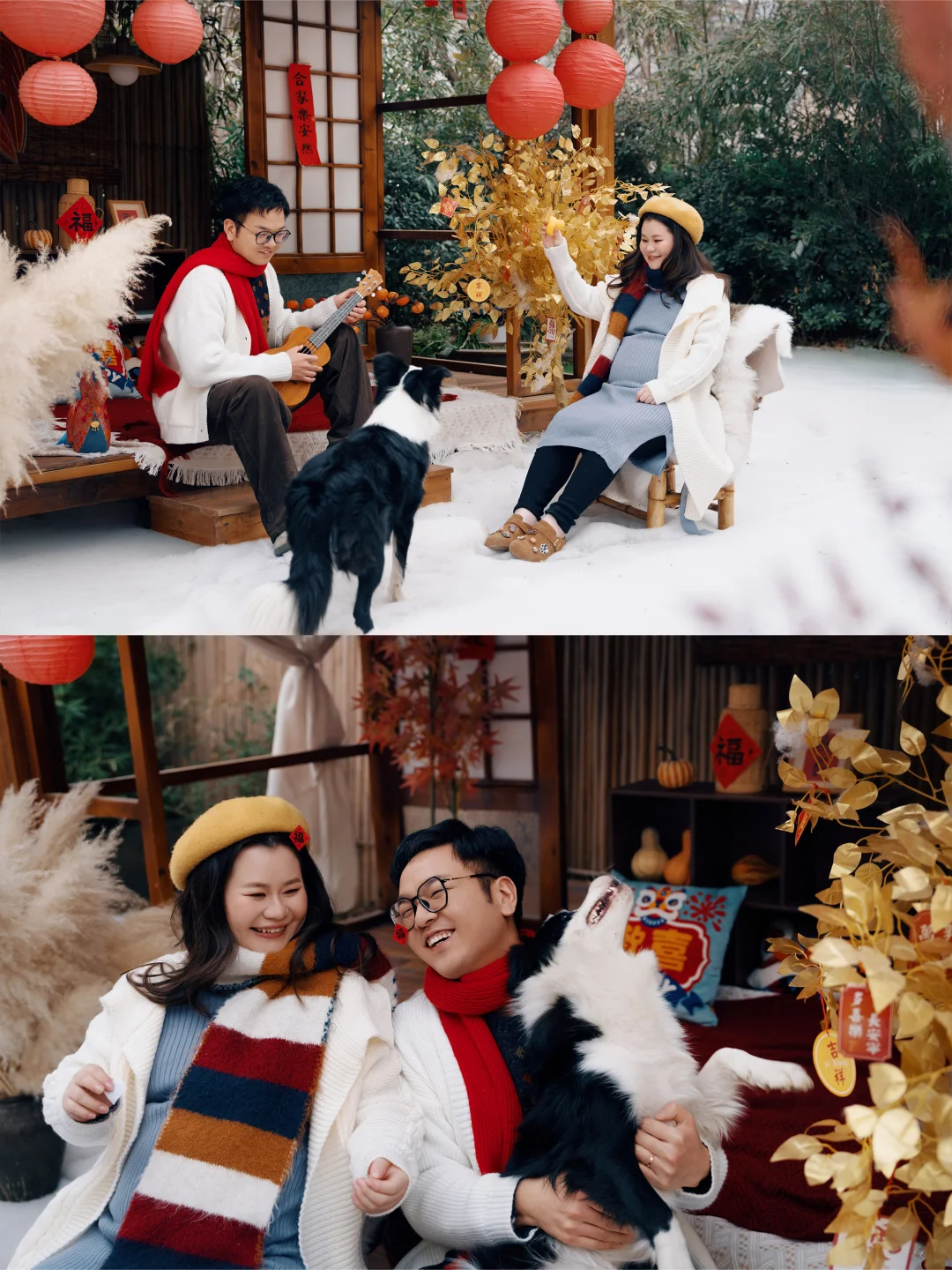 郑州人宠全家福🐶｜孕妇照这样拍好有爱