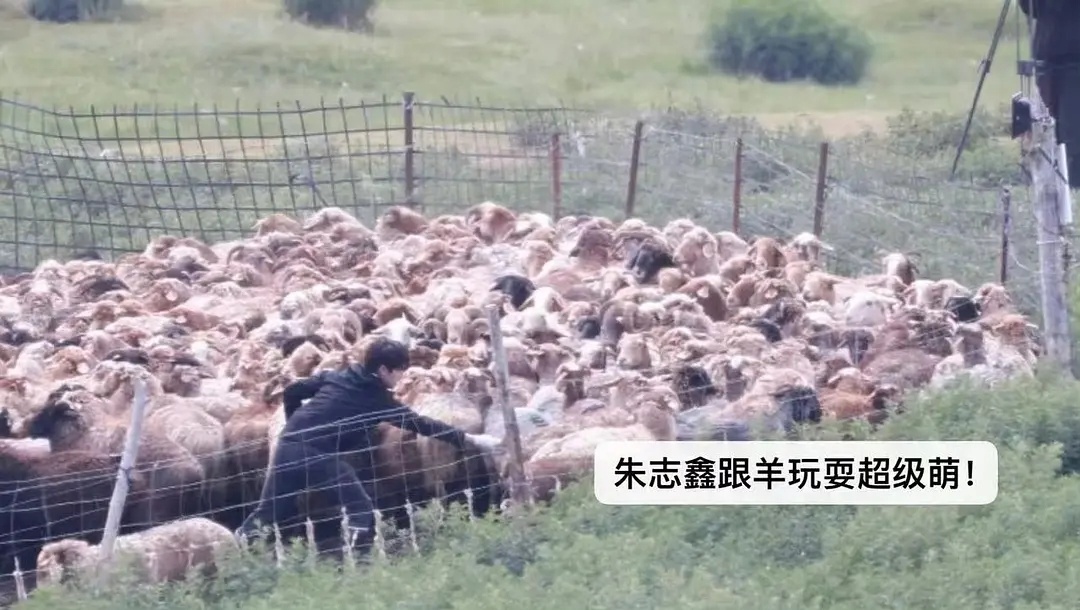 好萌🥺朱志鑫一路向海的少年