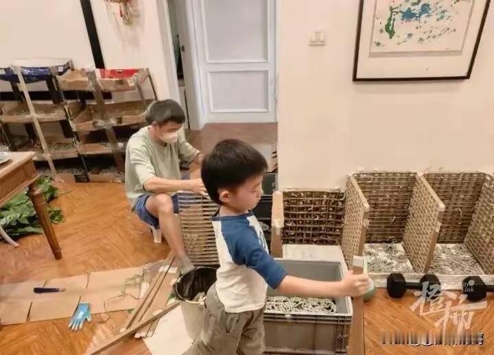 湖北武汉，有个8岁的小男孩。去年，小男孩养了2000只蚕，用蚕丝做了一把扇子。