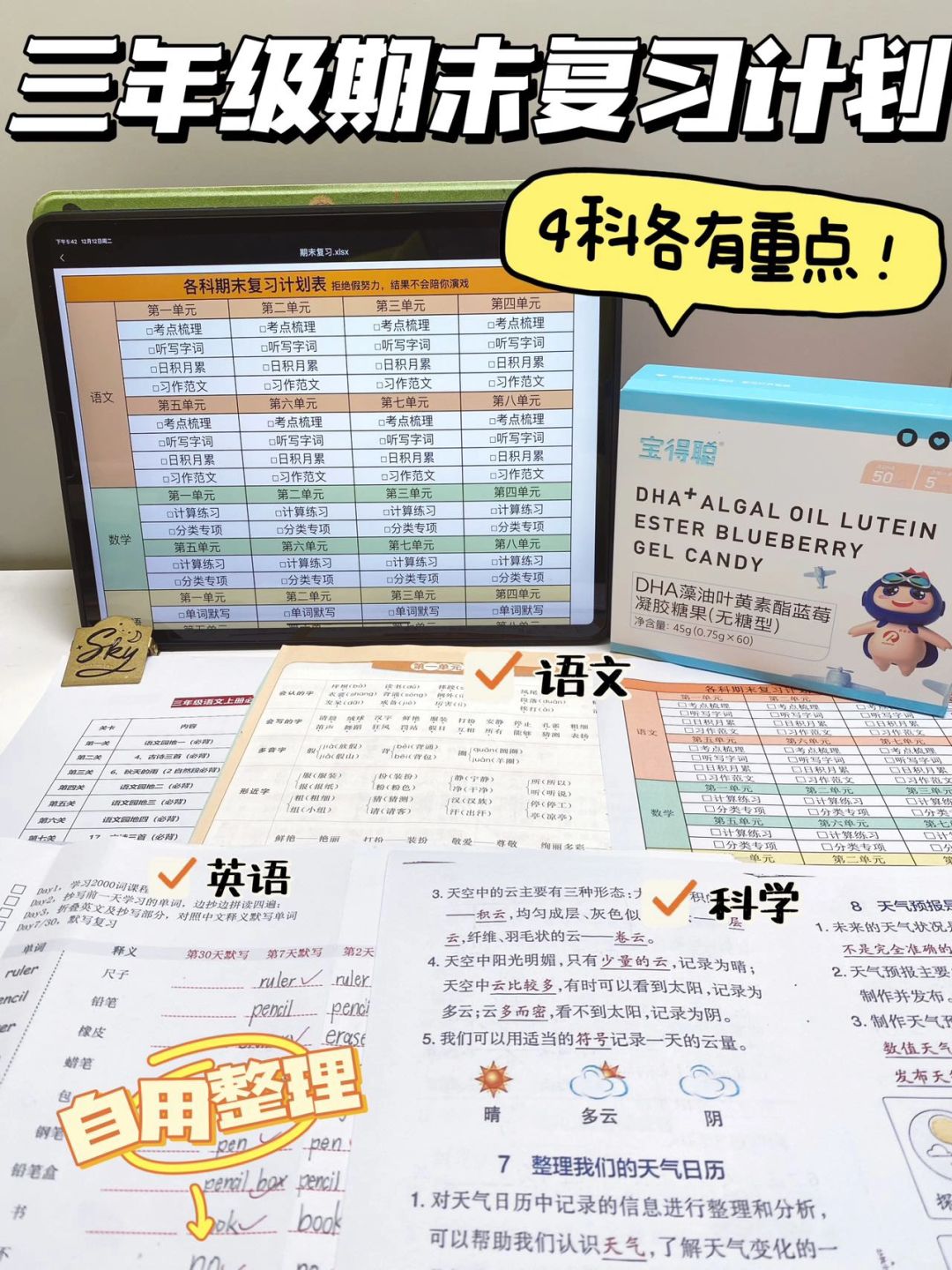 ✨小学生超高效复习8天搞定！期末稳啦💪