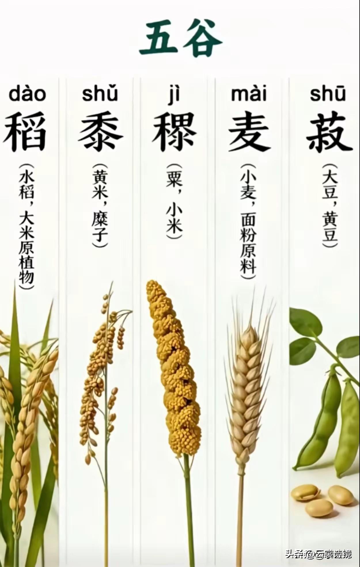 四十本应不惑，偏逢时事难明。不是看不清利弊，而是放不下一段共同走过的岁月。繁华散