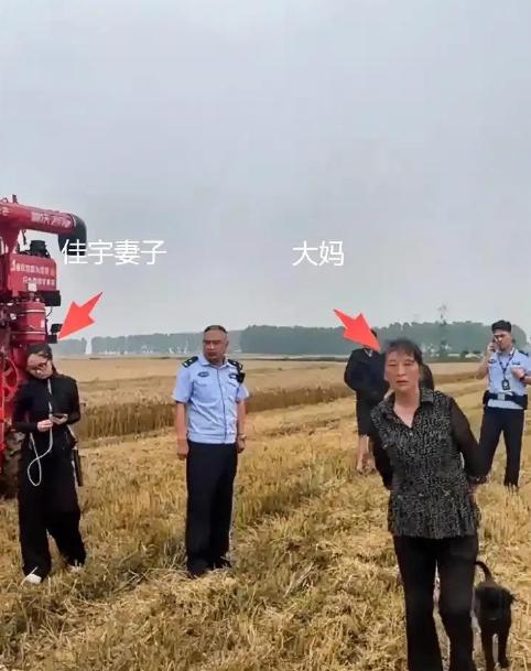 襄阳麦收的“割四赔五”事件，真的越看越气，越想越寒心！
2026年5月下旬，湖北