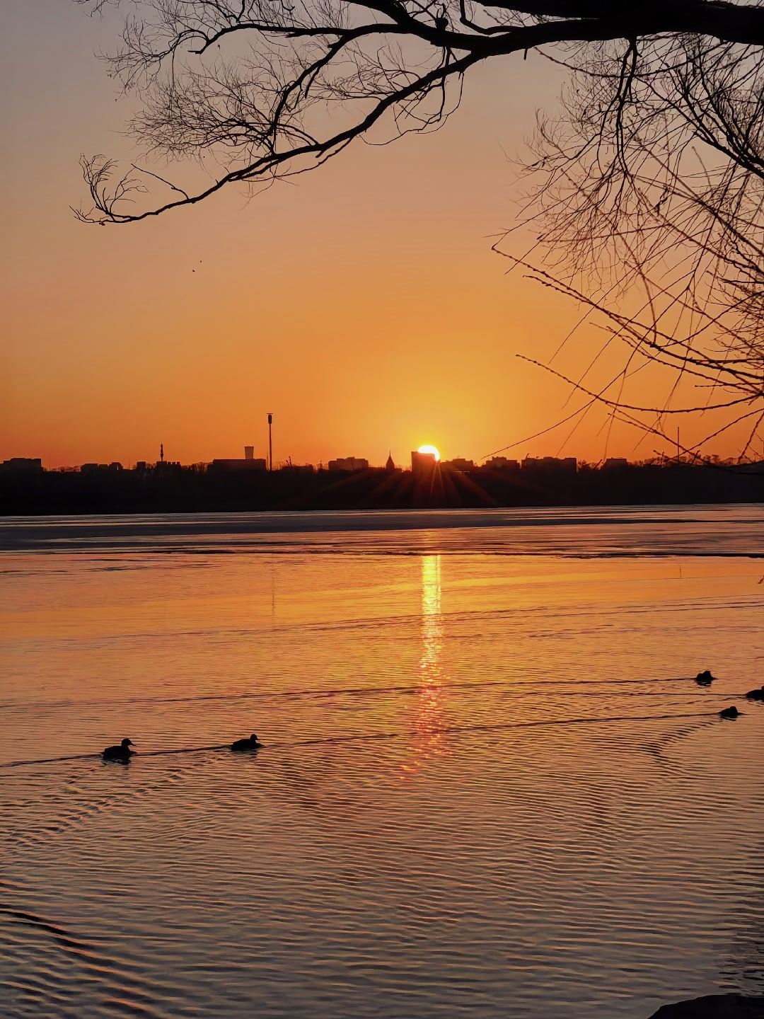 天赐我力量吧，下周我要入场了，看我是不是股神的材料。 