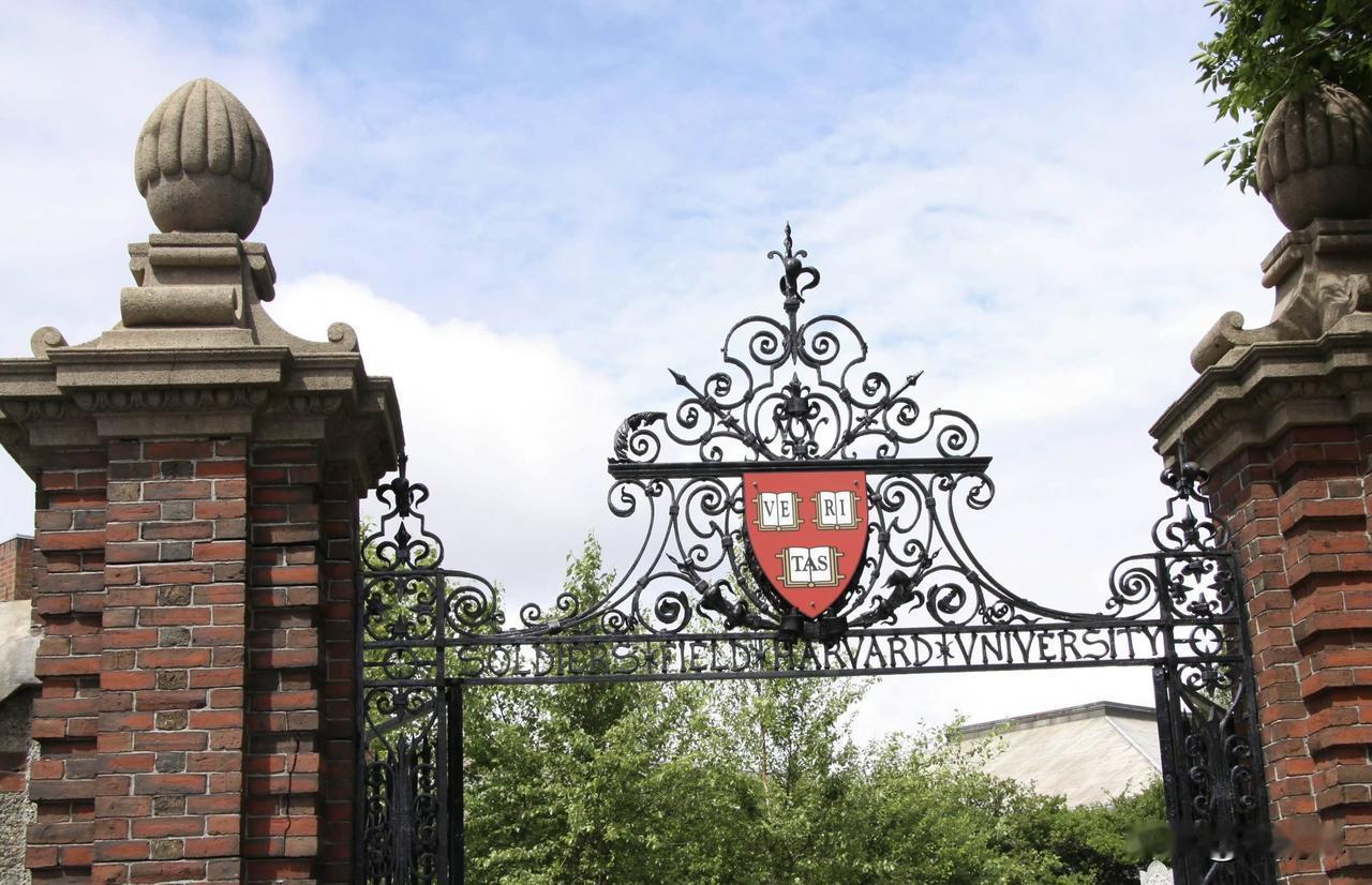 美国的大学可以在中美之间建立联系。2024年，有27万7千名中国学生在美国的大学