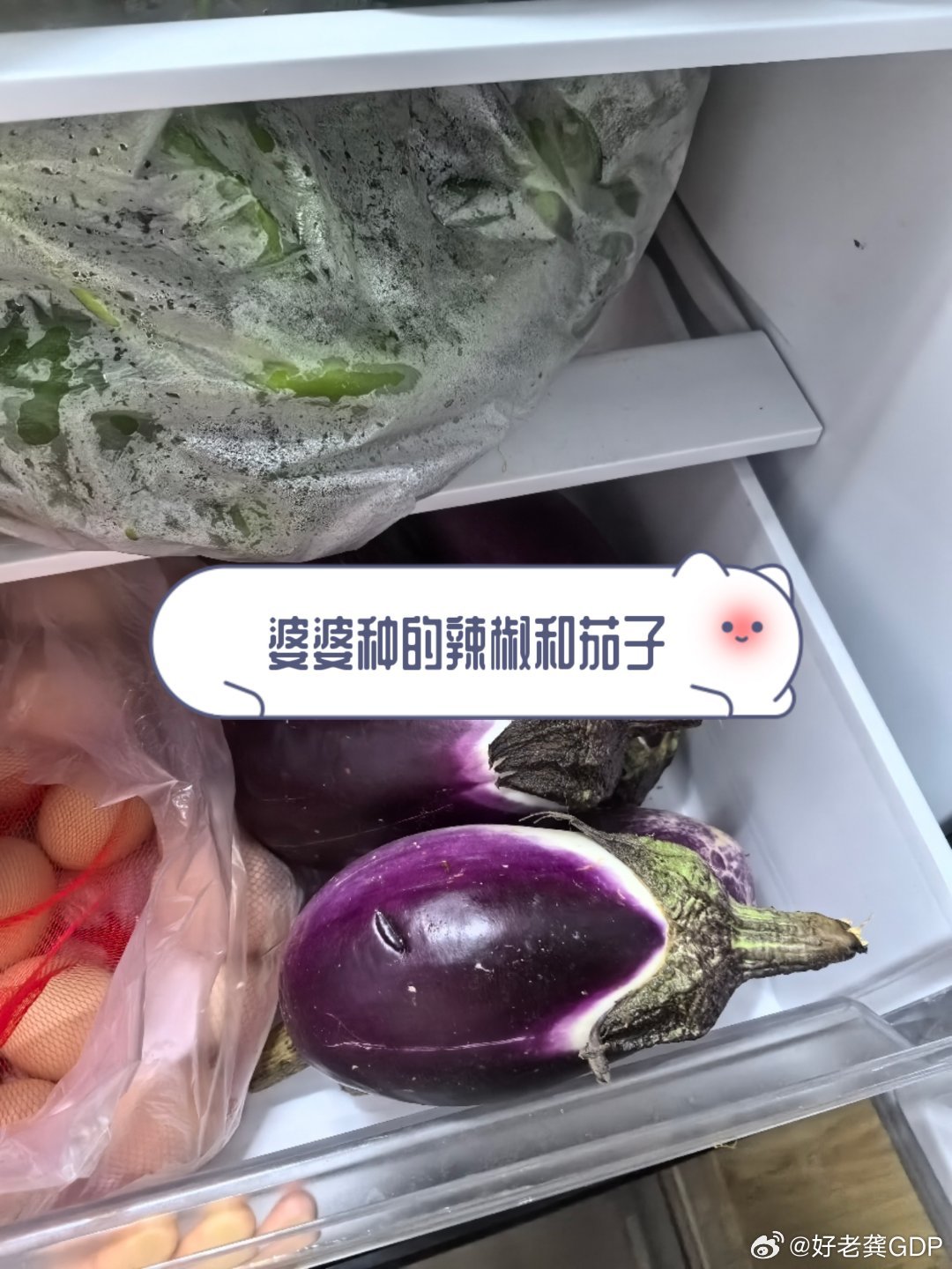 冰箱里面满满当当没花一分钱，无他回了一趟老家