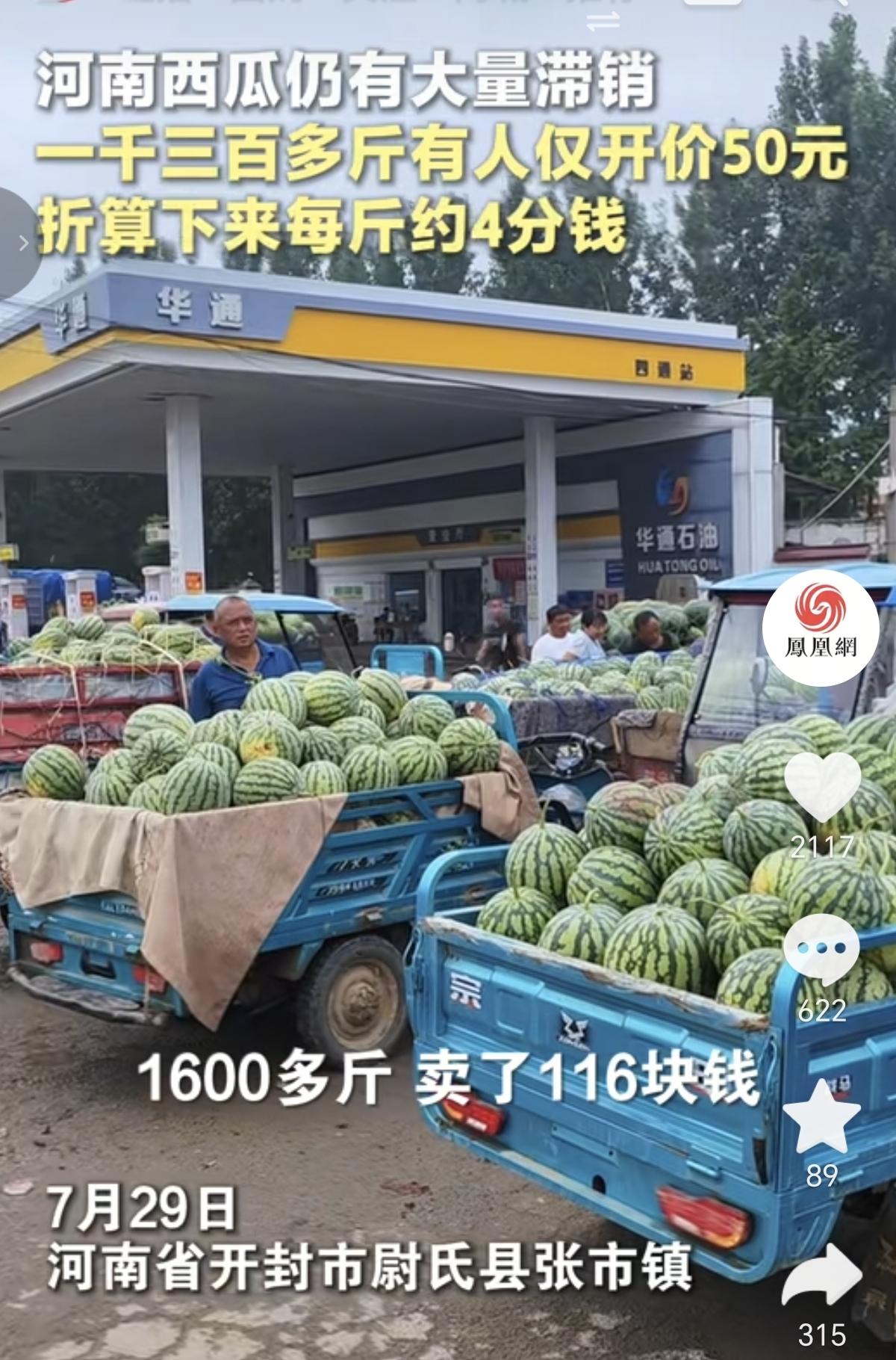 河南西瓜滞销，每斤仅4分钱，快来帮帮他们！