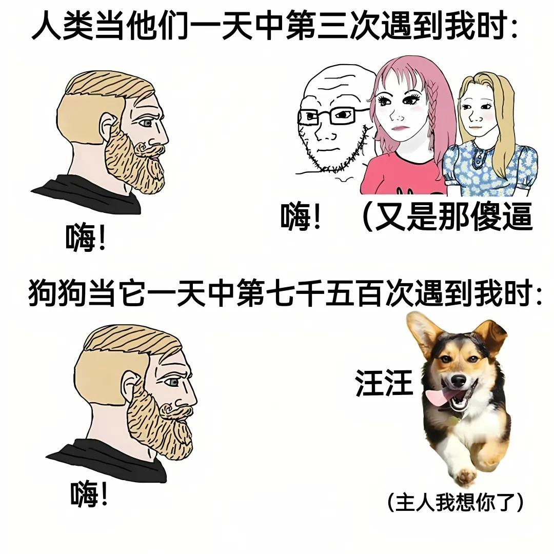 在与不在都在想你 meme  / 
