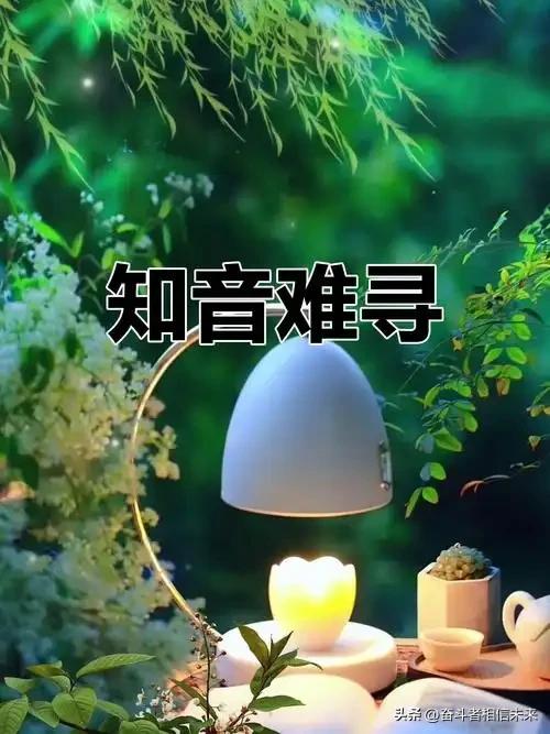 人生感悟：《我愿交朋友的朋友》——[词韵观心·第561期]

我愿交这样的朋友，