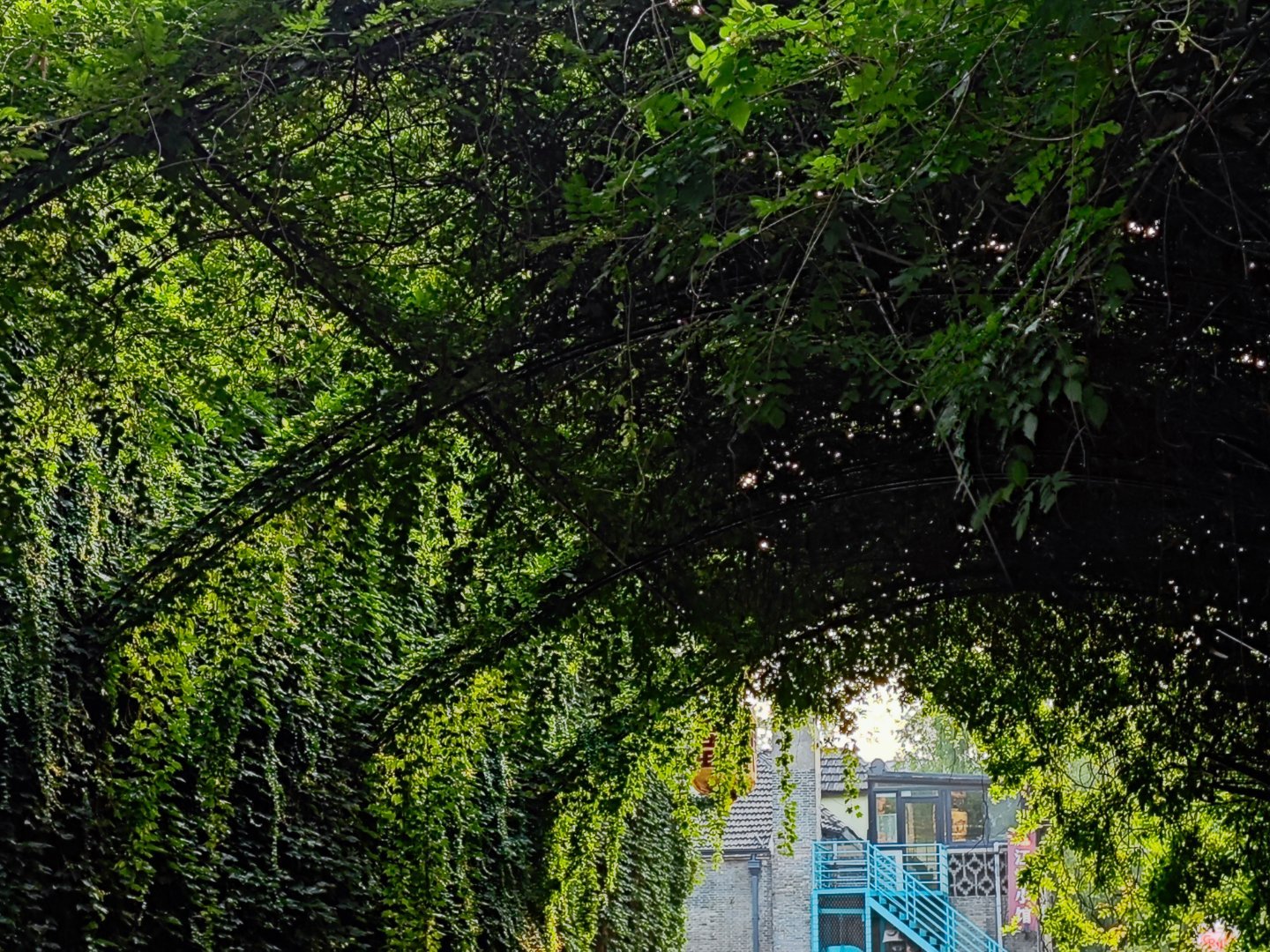 历经千般事，阅遍万种人，方知赤子衷心最可贵，从始至终、善始善终，难如登天却又真挚