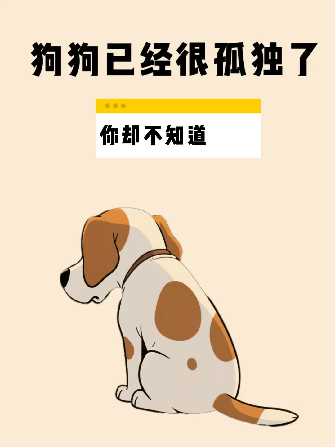 动物奇遇记动物奇趣  宝子们！你家毛孩子是不是总盯着你看、懂事得让人心疼？其实T