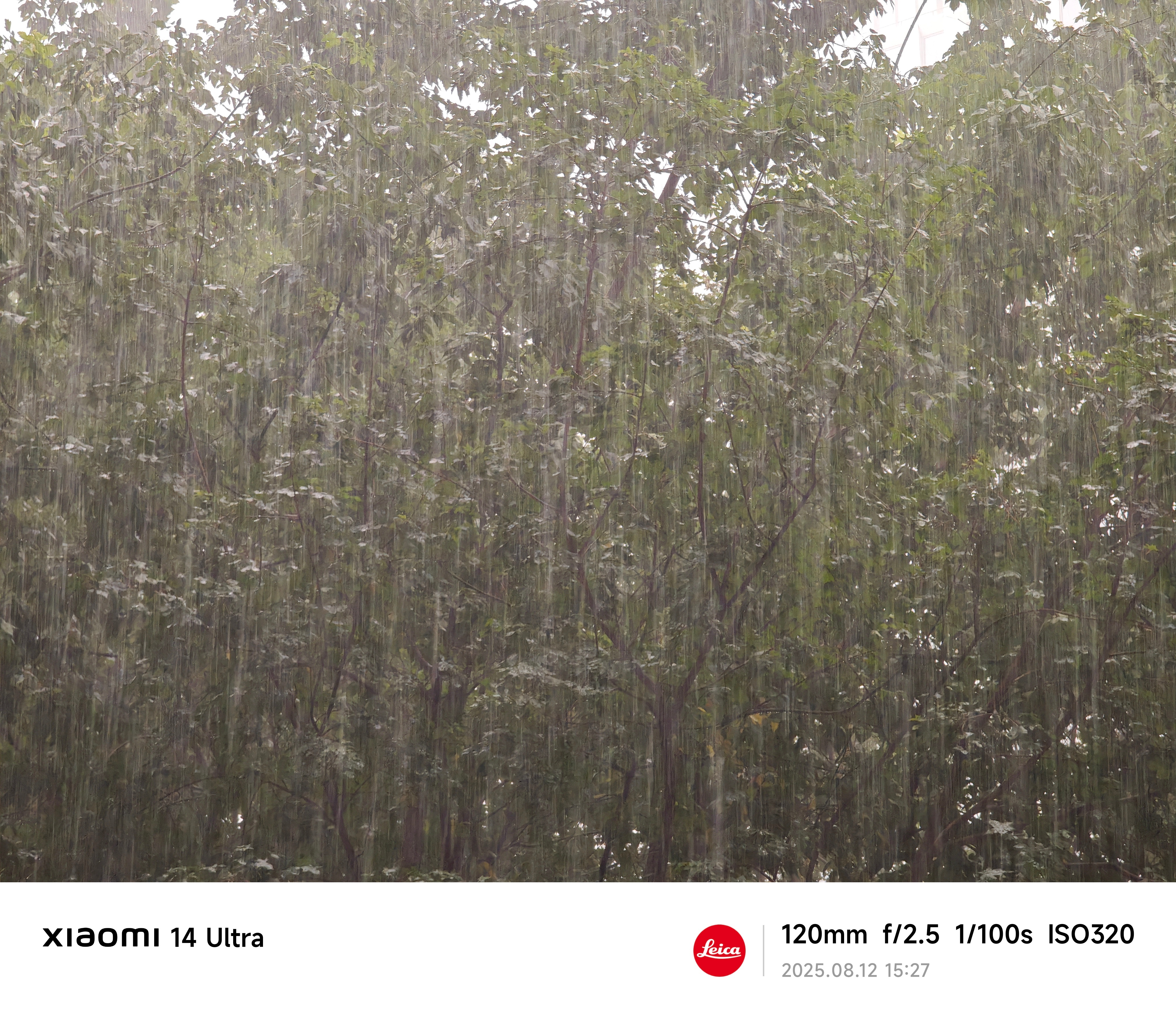 北京暴雨大风雷电预警齐发看，现在雨巨大！还好我出门关窗户了，还开了除湿。 ​​​