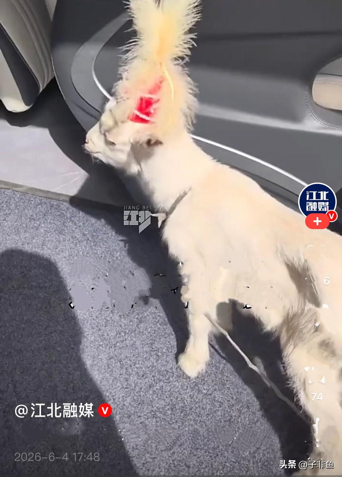 近日，一女子在新疆旅游时，认识了当地的一个小男孩，旅途闲暇的时光里，两人一起玩要