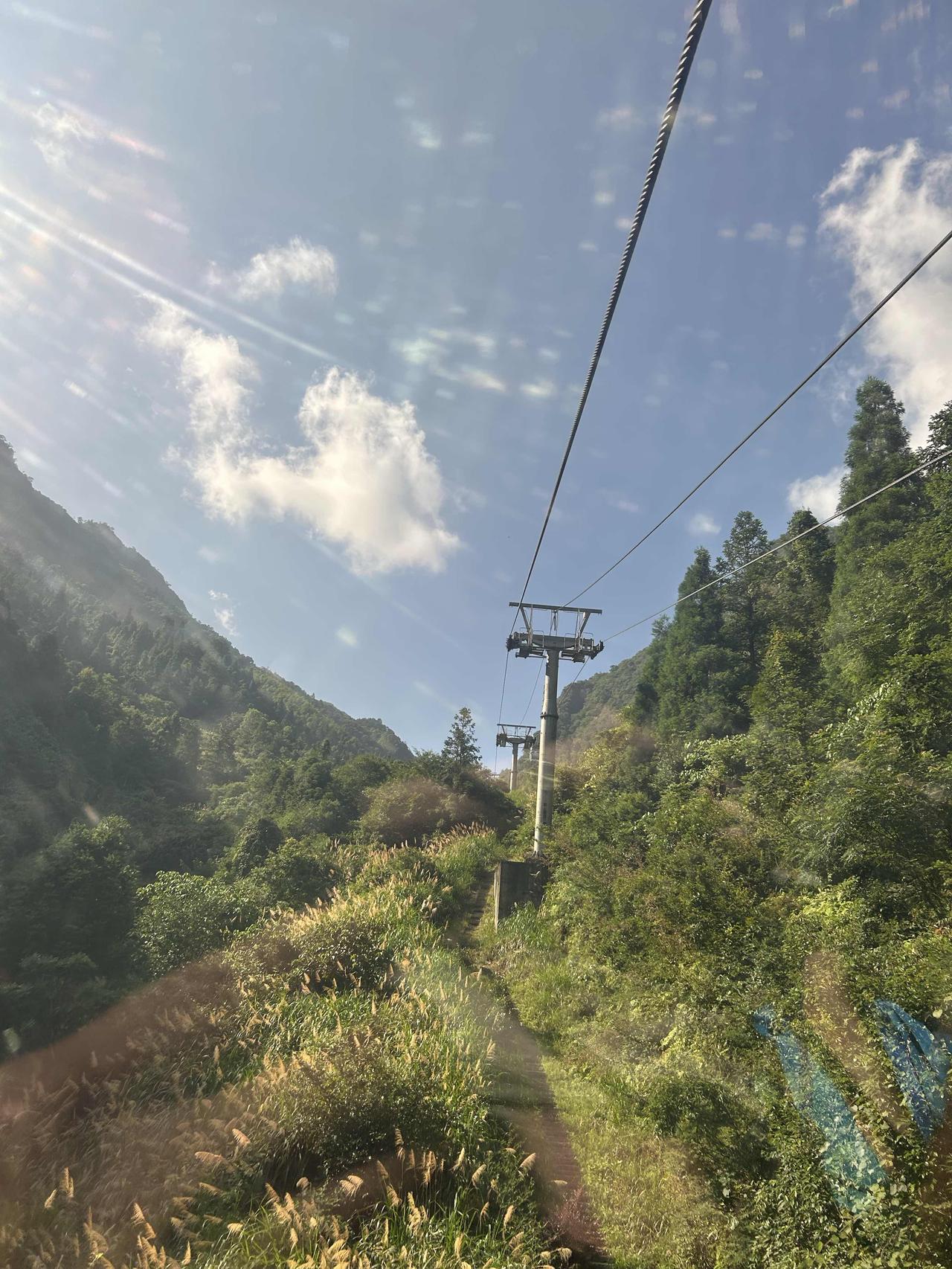 学会和自己和解，接纳平凡，拥抱温柔，认真生活，慢慢发光。