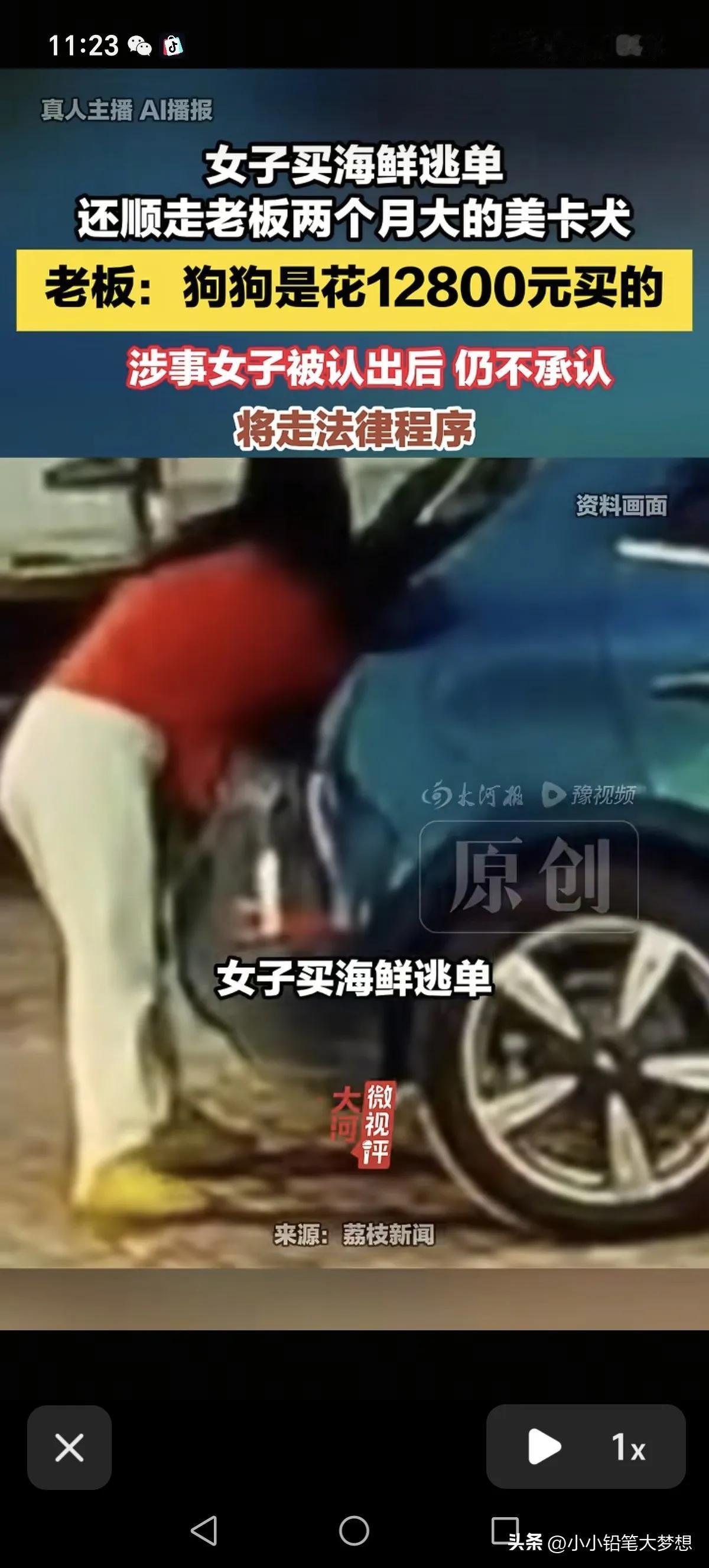 偷只狗牵出大事：价值1.28万，老板不谅解，她还拒接警察电话
 
河北秦皇岛，女