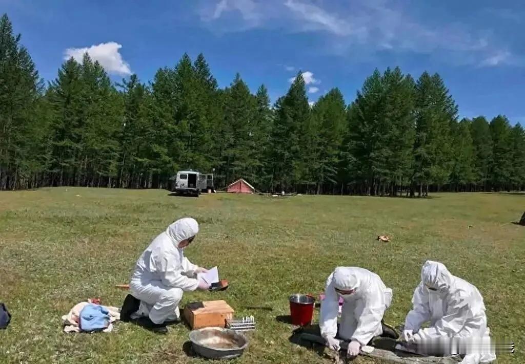 莫斯科机场强制测体温！伊尔库茨克鼠疫事件，又是一次生物武器泄露？

来源:鹰眼D