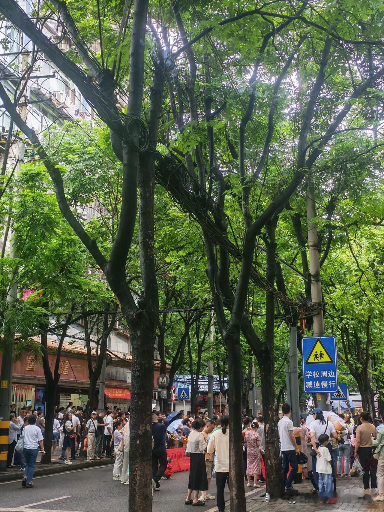 11:00，中考最后一科的收卷铃响起，考场外的家长齐刷刷松了口气。

可还没等孩