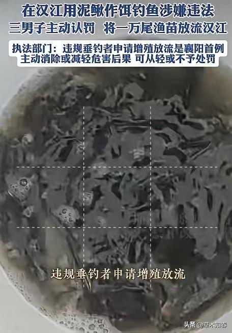 惩罚太轻了！湖北襄阳，3名钓鱼人在汉江钓鱼的时候，挂泥鳅钓，结果被渔政工作人员逮