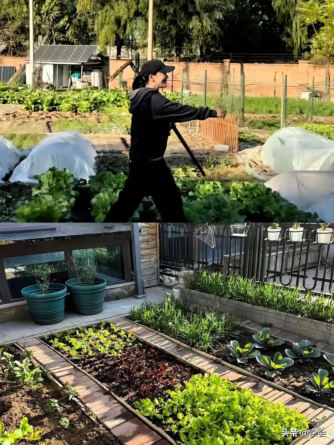 真正让人羡慕的，不是梅婷二婚嫁给了爱情，而是她遇到了一对神仙公婆。
北京上亿豪宅