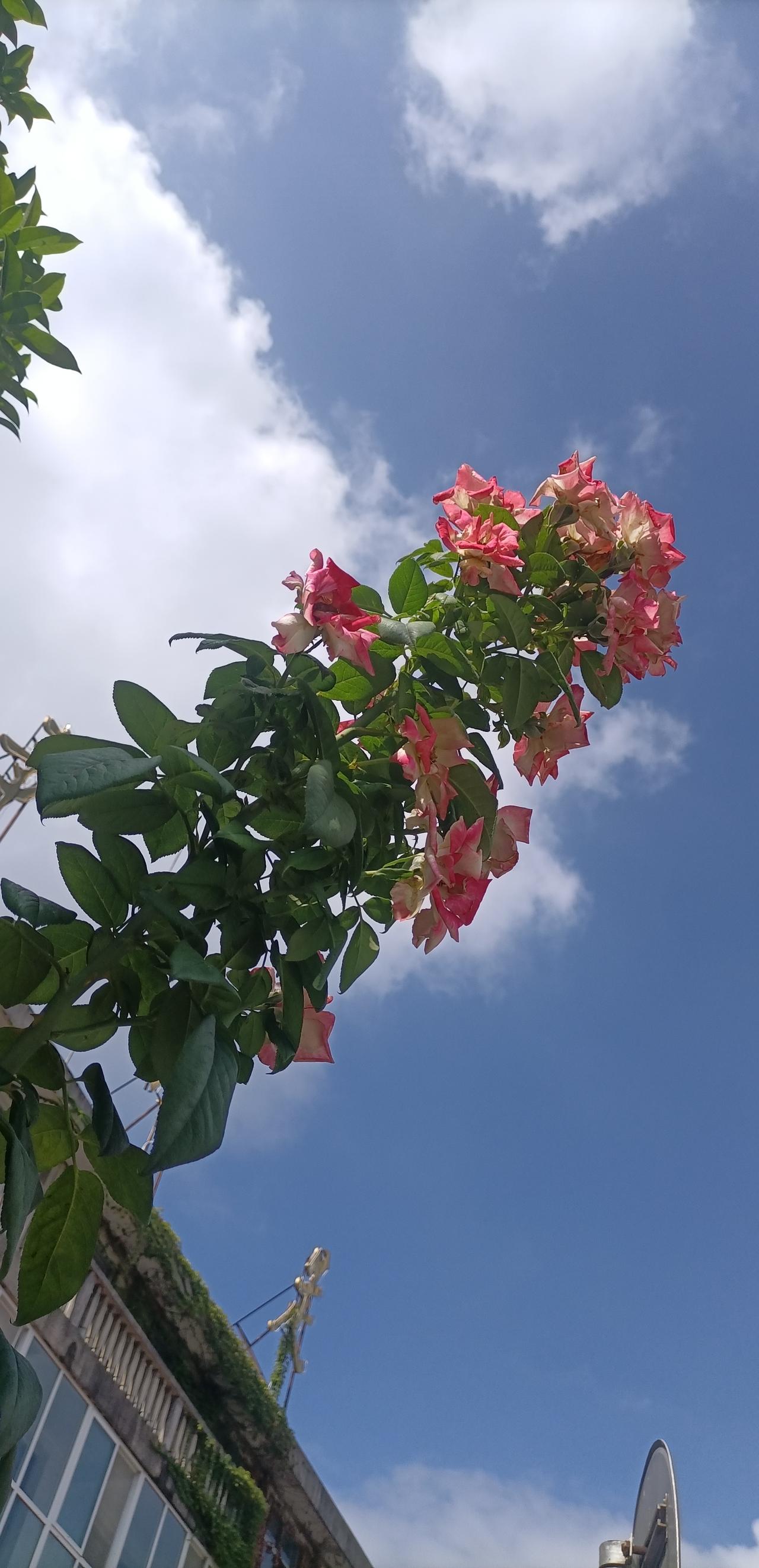 【夏之韵·不受阴人锁事影响】夏日生活打卡季
人间中的关系纠缠，生活中的琐碎杂事，