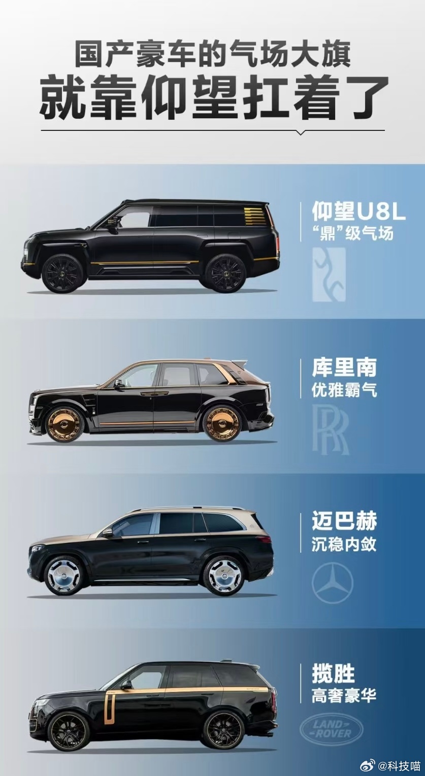 都是百万级豪华SUV，从上到下，仰望U8L、库里南、迈巴赫GLS、路虎揽胜，大家