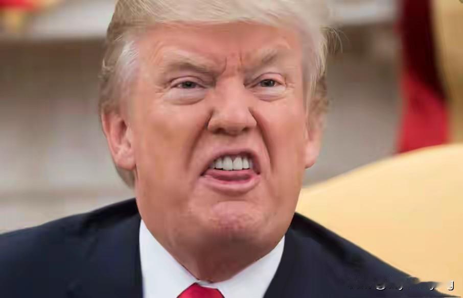 特朗普突然加税欧洲“八国联军”！

就在欧洲八国为了捍卫格陵兰岛以免被美国吞并而