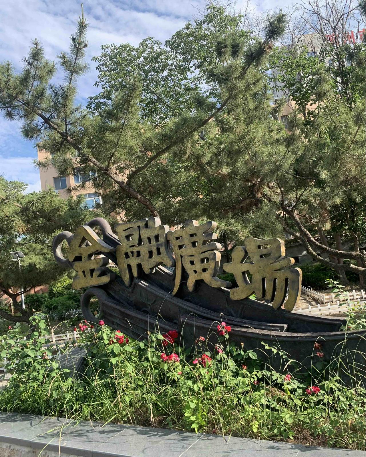 今天去“金融广场”溜达拍了几张图片。滨州“金融广场”并非商业开发项目，而是200