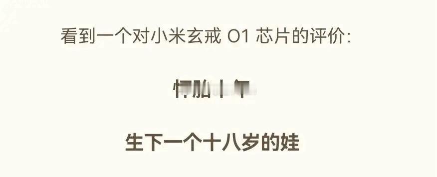 看到一个对小米玄戒O1芯片的评价 ​​​