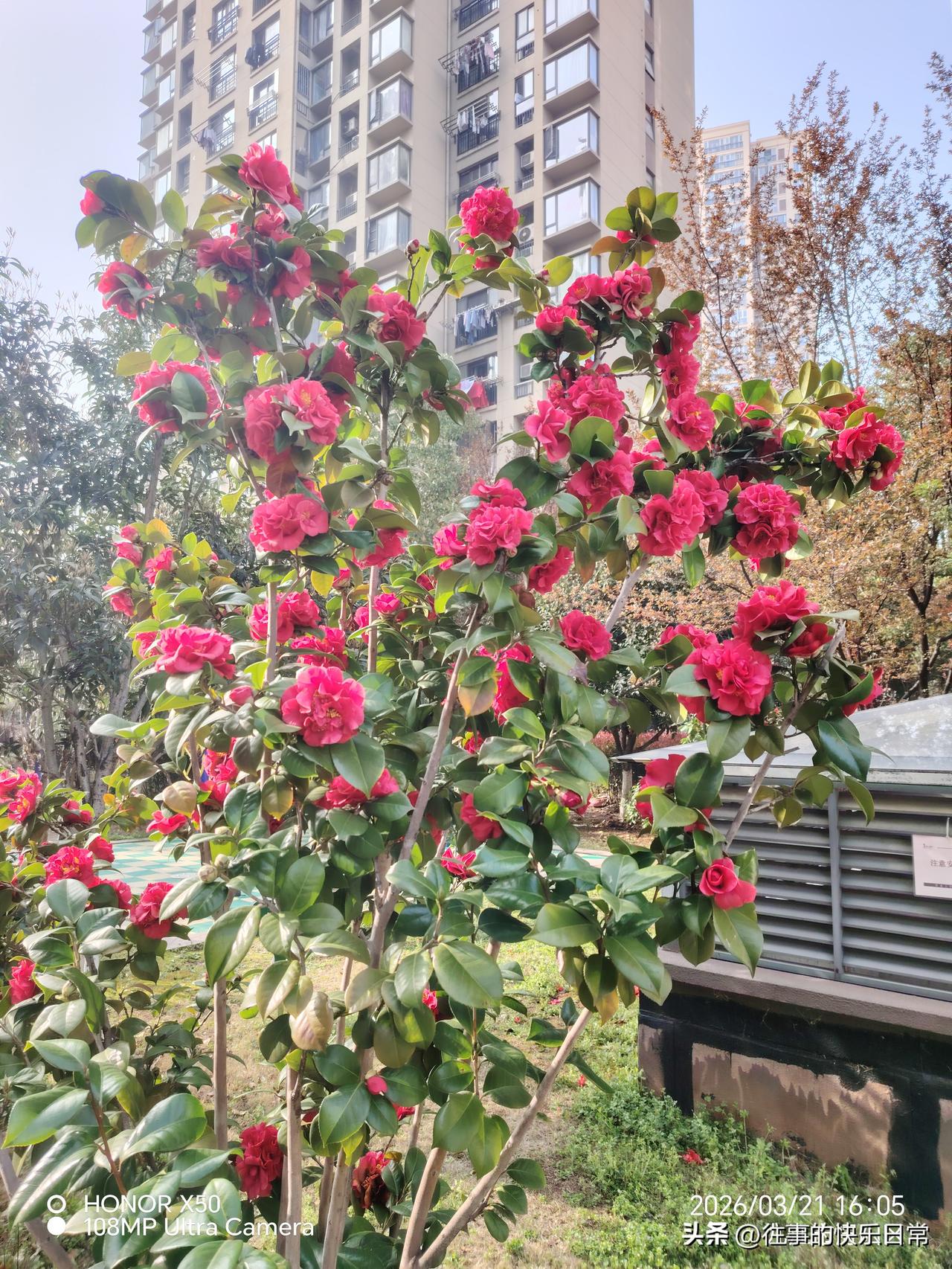 如何看待现在流行的老年大学人活到老学到老