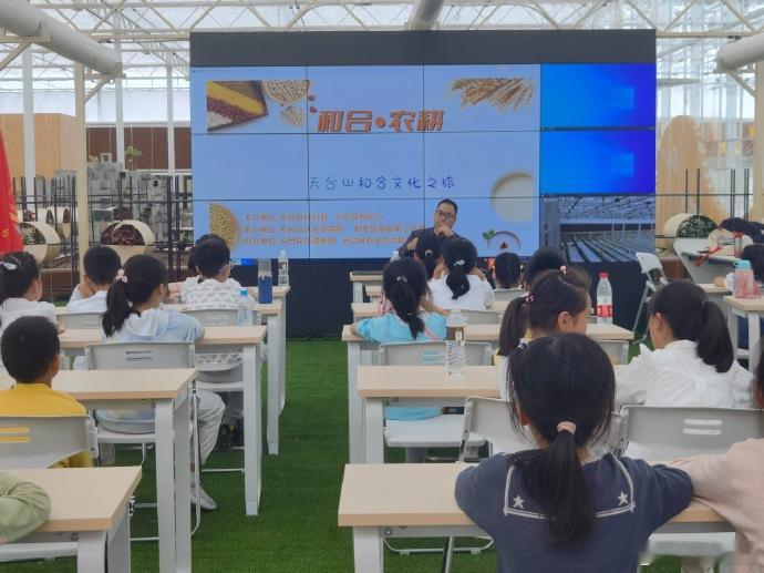 台州天台以片区组团模式走出乡村共富路 端午民宿一房难求、游客沿瀑品茶逛古村，这是