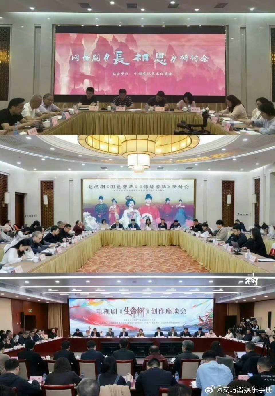 有效播剧！杨紫长相思 国色芳华 生命树三部剧都开了研讨会🔥 