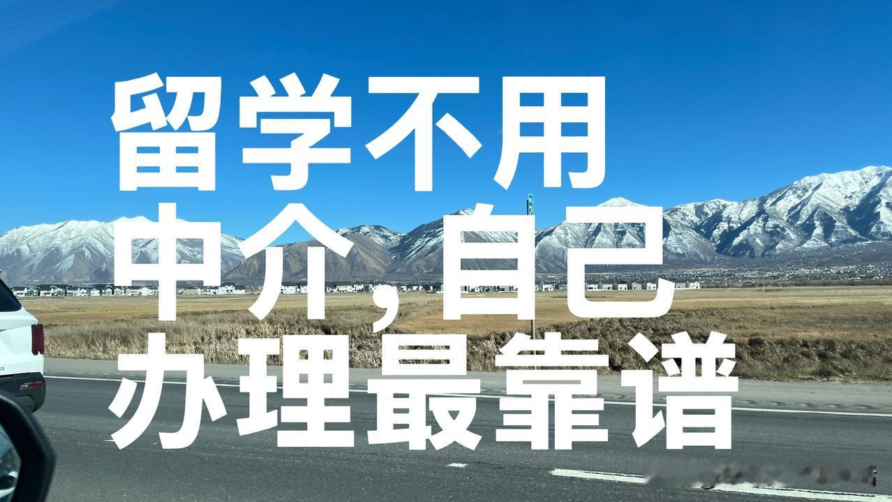 我现在越来越觉得，真要说最靠谱的，不是哪个中介，而是自己去办最靠谱。

为啥这么