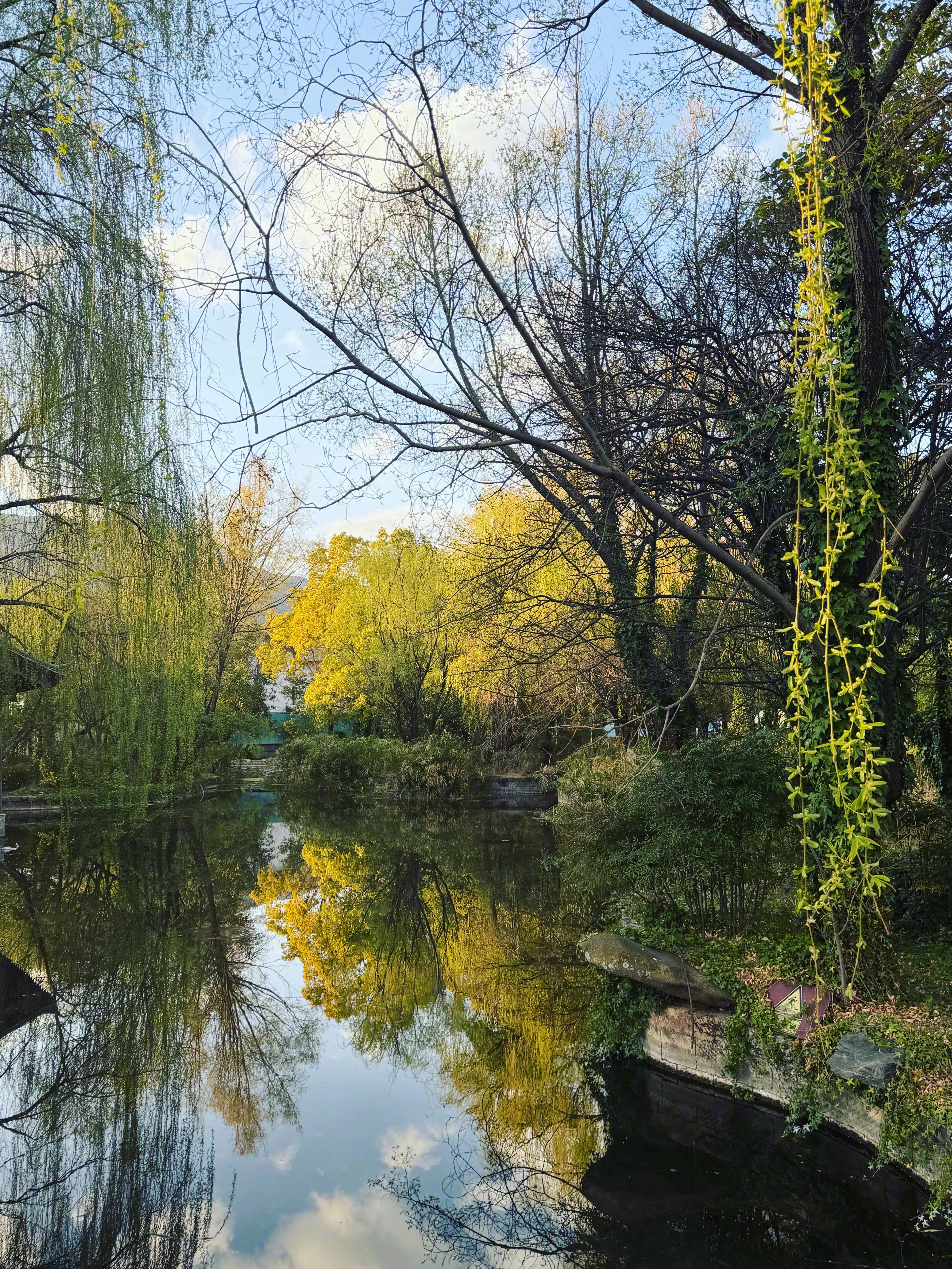 被动的，称之为：变化；主动的，称之为：改变。  被动的叫出差；主动的叫旅行。  