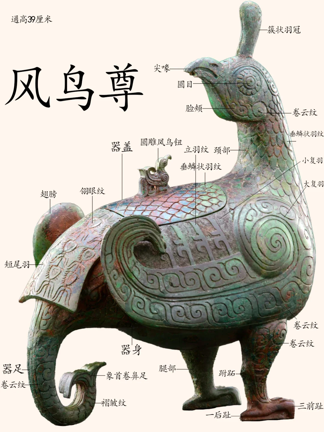 西周晋侯凤鸟（绿孔雀）尊，山西博物院藏品