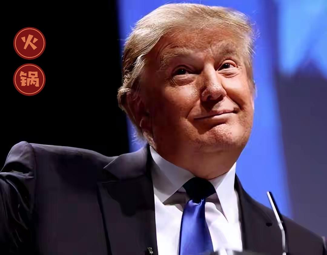 1月13日，美国民主党主政的明尼苏达州、伊利诺伊州直接把特朗普联邦政府告了，控诉