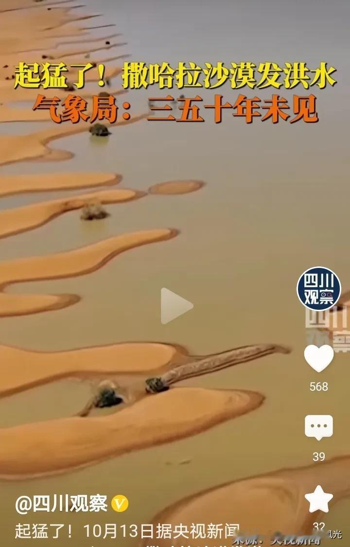 这是撒哈拉沙漠发洪水后的样子，
好像一个湖泊的岸边，
不可思议的美丽景象。

如