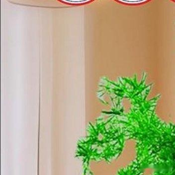 ☆ ✧ 𝕓𝕚𝕦 ̷ ̷ * ♡̷ ᵕ̈被好风景收买*♡̷剩下的全是好心情•