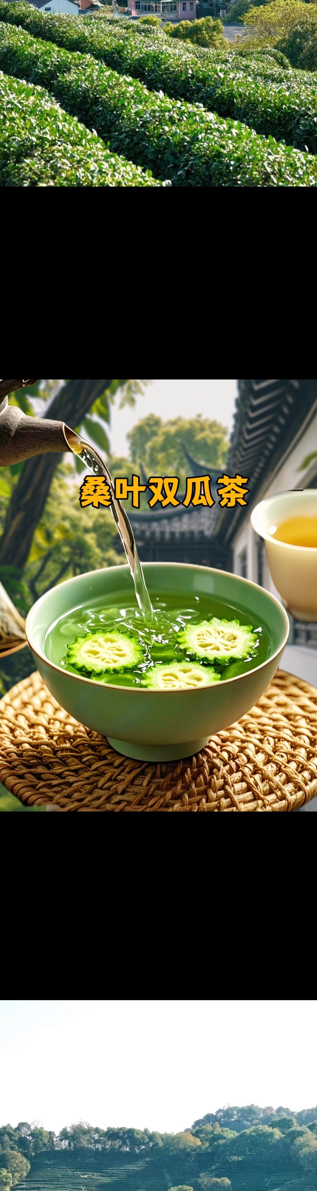 这是个神奇的搭配。苦瓜 十桑叶十冬瓜皮，吃一段时间后，就会知道它的好了