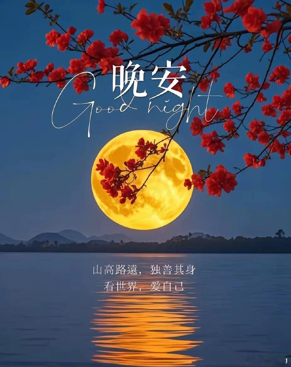 星星都睡着了，你也该放下忙碌，拥抱温柔夜色。 