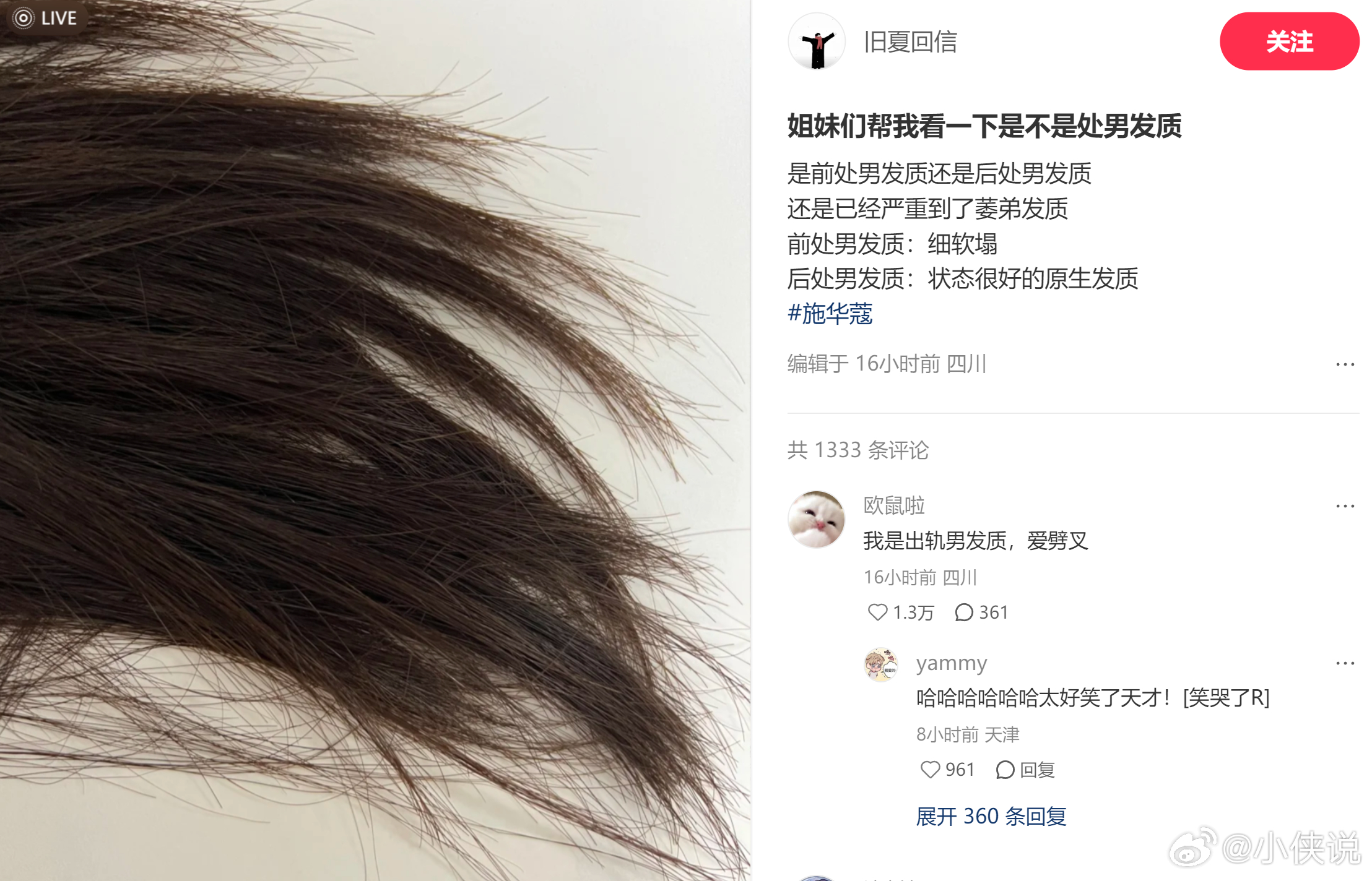 《姐妹们帮我看一下是不是处男发质》评论区笑鼠了[泪奔] ​​​