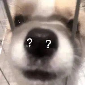 因为北大不包邮，所以当年没考北大。