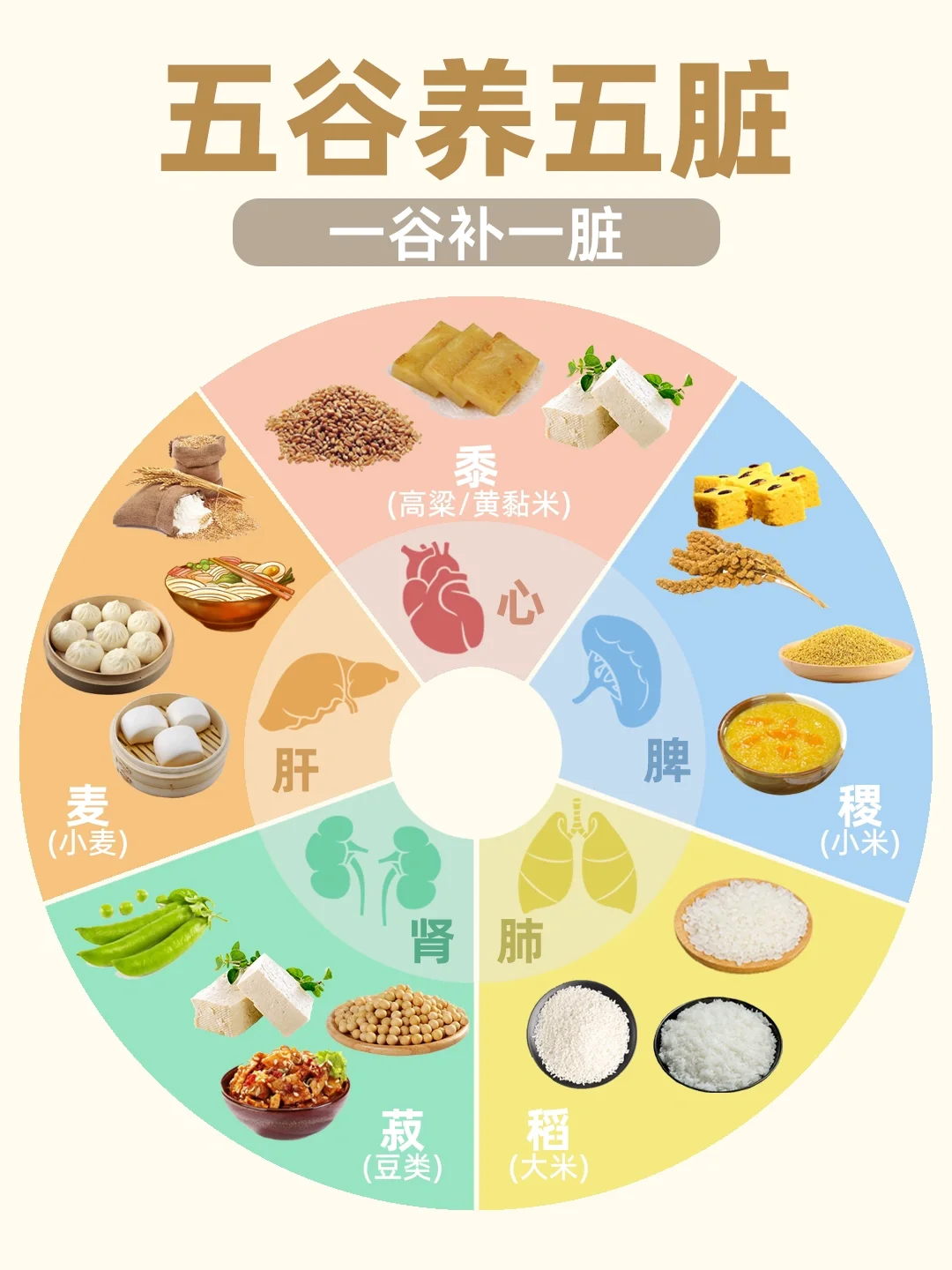 五谷杂粮养五脏，肝心脾肺肾，你吃对了吗？