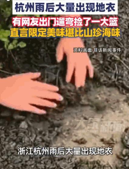 谁说天上不会掉馅饼？6月25日报道，杭州，连日大雨后，市民惊讶地发现，小区草坪和