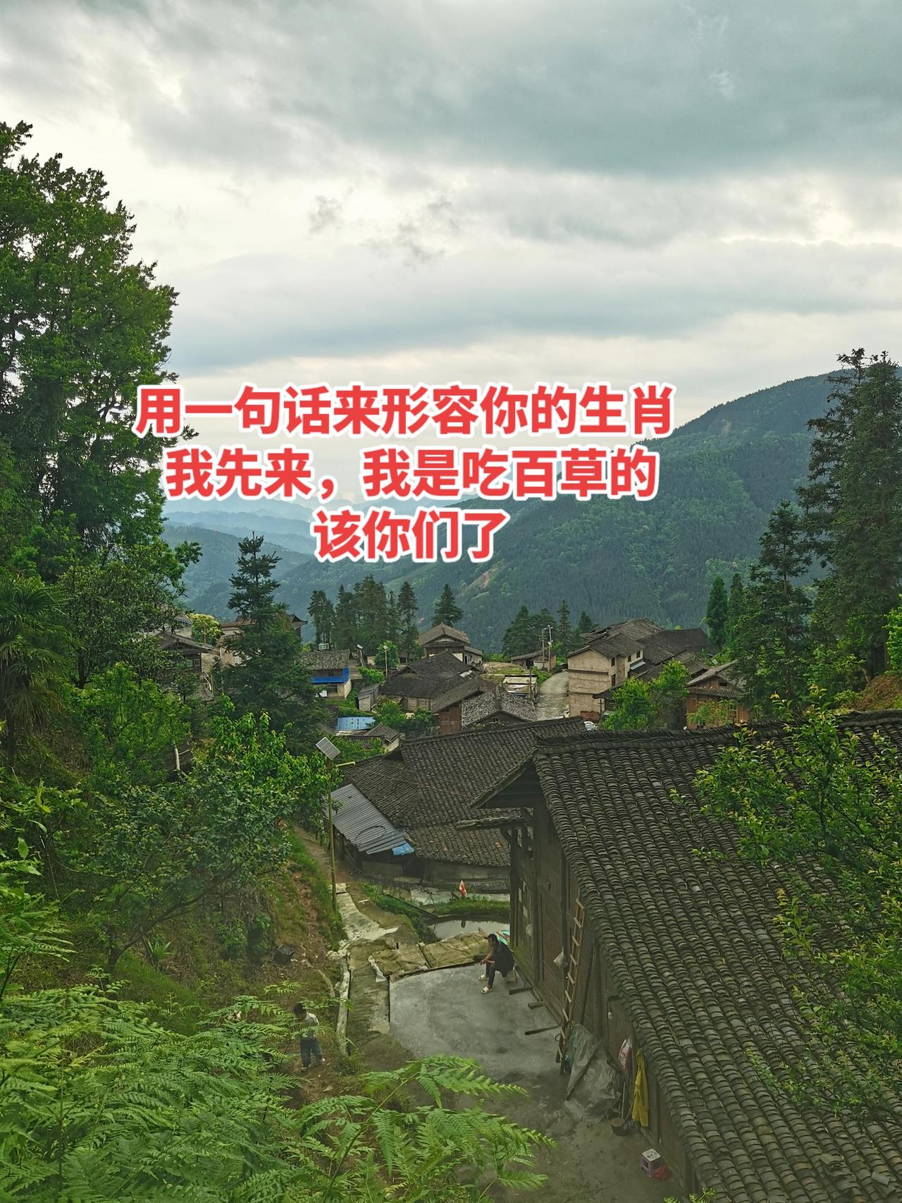用一句话来形容你的生肖 
我先来，我是吃百草的
该你们了生肖 闲聊 百姓关心的话