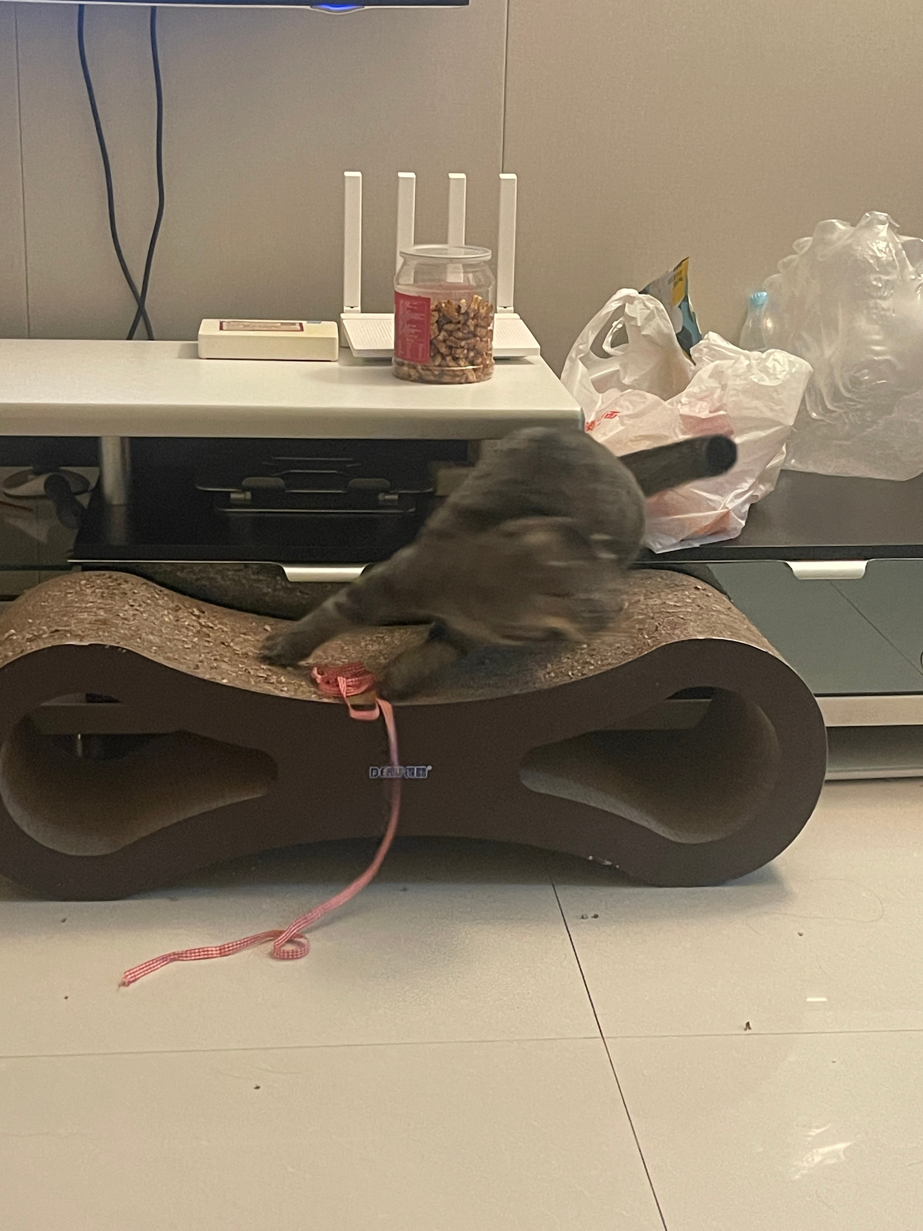 到点了 