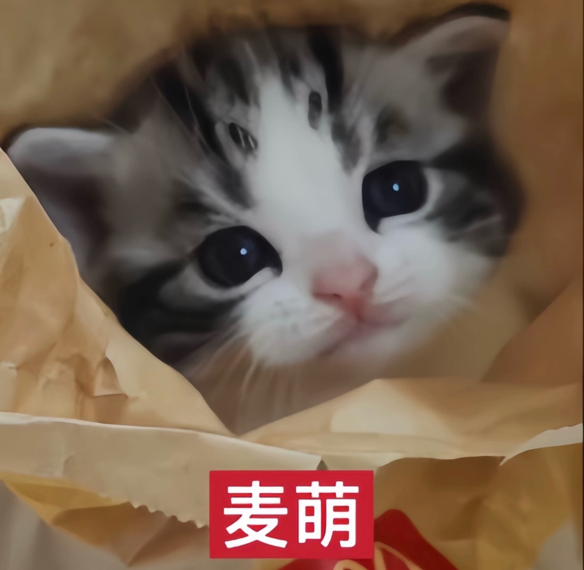 养铁  宝贝们养铁可以看看我们，全员都可以互5，属性置顶都有可自闭 