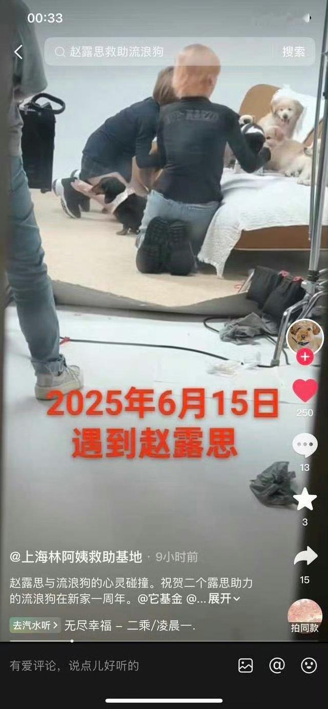 已经是去年的事了，赵露思一直都很好都是默默无闻从来没有拿这些出来营销喜欢动物爱护