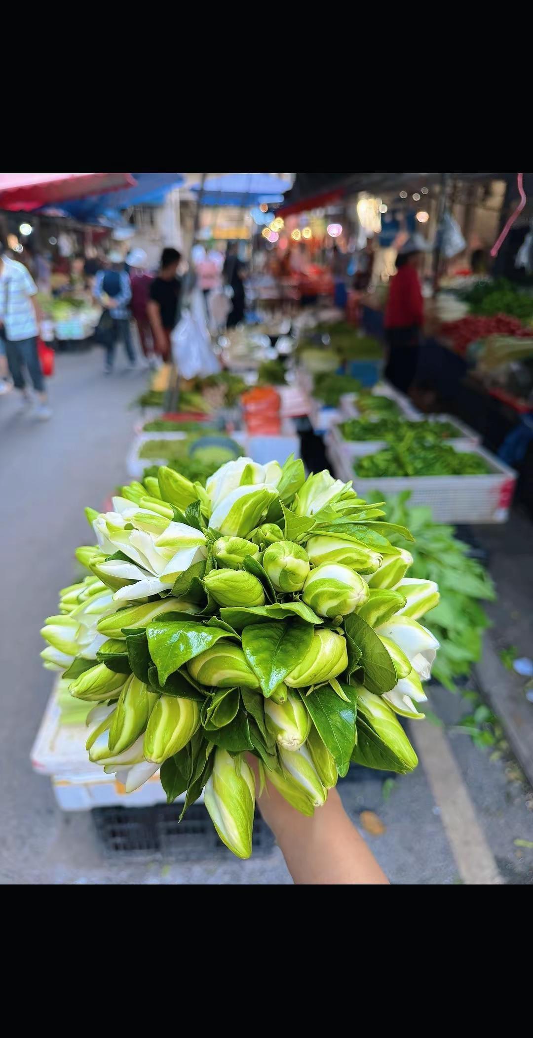 芹小姐在菜场买菜，先买了栀子花！贩卖鲜花，也收藏浪漫 城市里的烟火气 我在人间贩