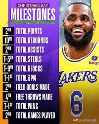 勒布朗成为湖人以来取得的荣誉
 .
NBA 冠军（2020 年）
NBA 总决赛